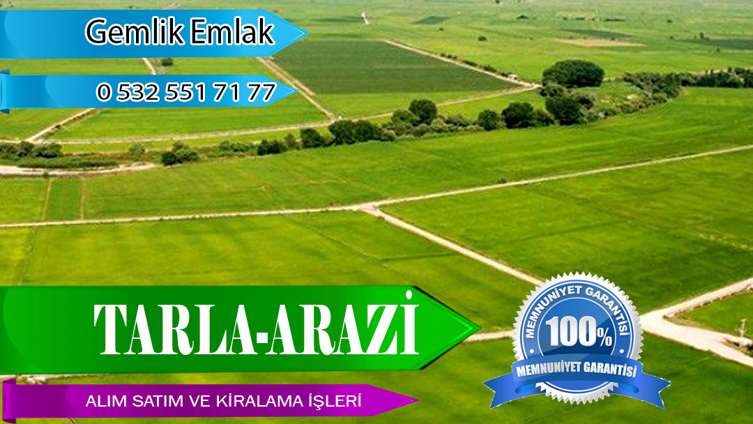 Tarla Alım Satım Kiralama